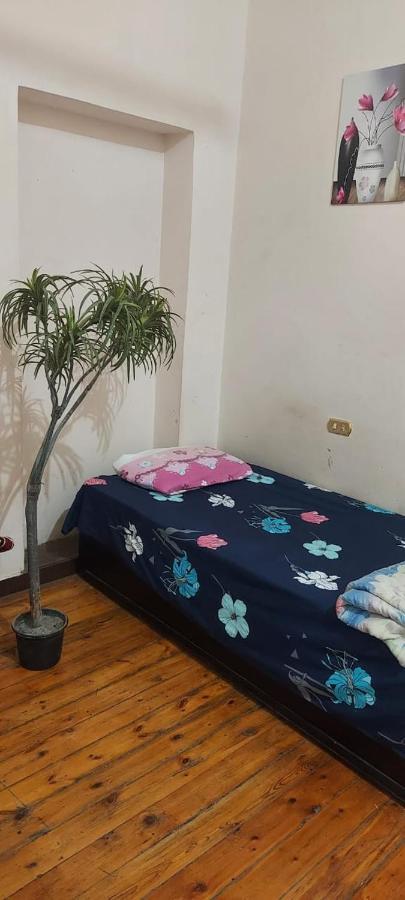 New Safari Hostel Κάιρο Εξωτερικό φωτογραφία