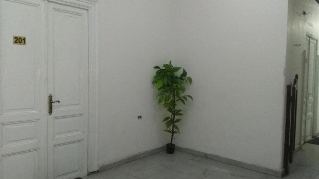 New Safari Hostel Κάιρο Εξωτερικό φωτογραφία
