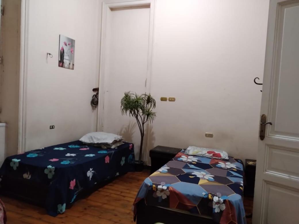 New Safari Hostel Κάιρο Εξωτερικό φωτογραφία