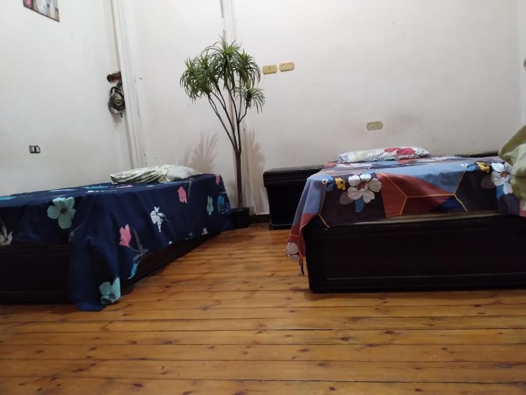New Safari Hostel Κάιρο Εξωτερικό φωτογραφία